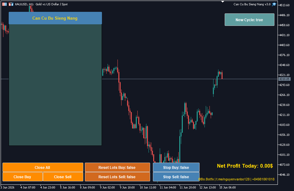 越南多功能CCBSN全版本v3.0带参数  MT5-金汇MT