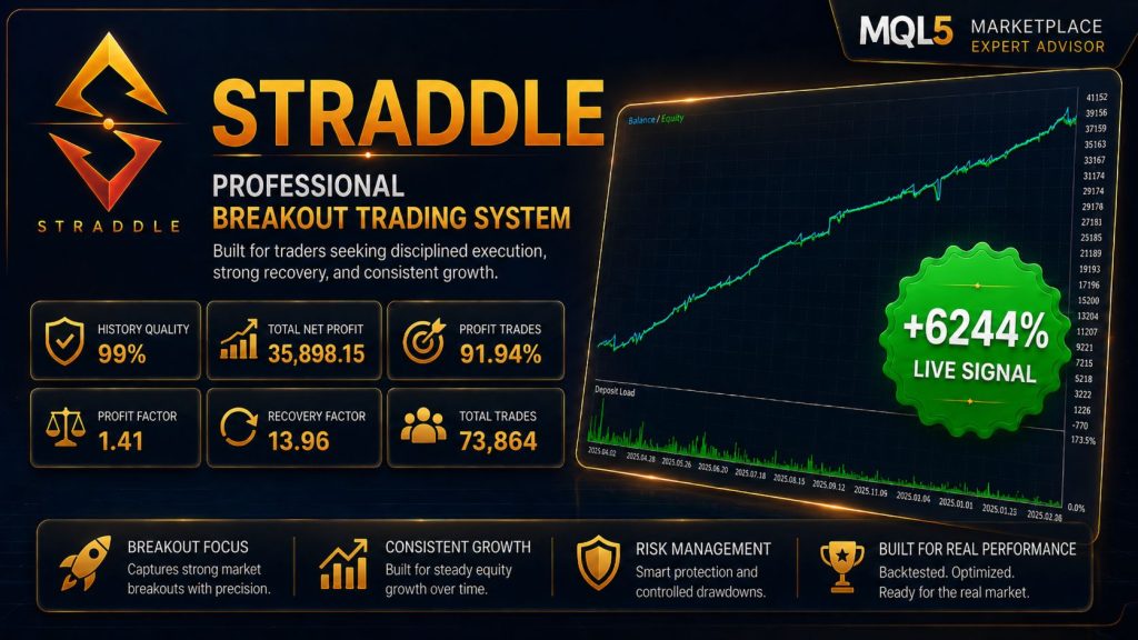 Straddle 1.137 MT5-金汇MT