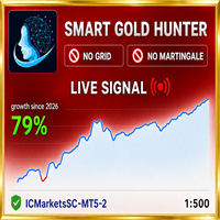 Smart Gold Hunter 1.6 MT5 汉化版-金汇MT