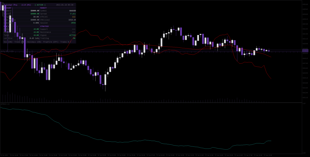 TwisterPro Scalper 2.5 MT5 新版本-金汇MT